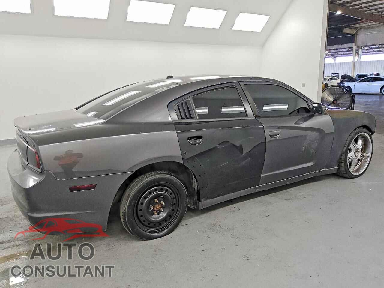 DODGE CHARGER 2014 - 2C3CDXCTXEH146929