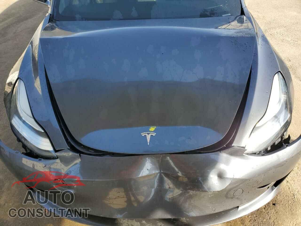 TESLA MODEL 3 2019 - 5YJ3E1EA5KF464251
