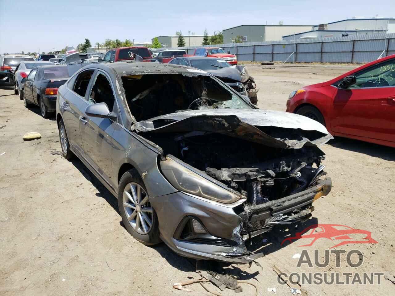HYUNDAI SONATA 2019 - 5NPE24AF0KH755715