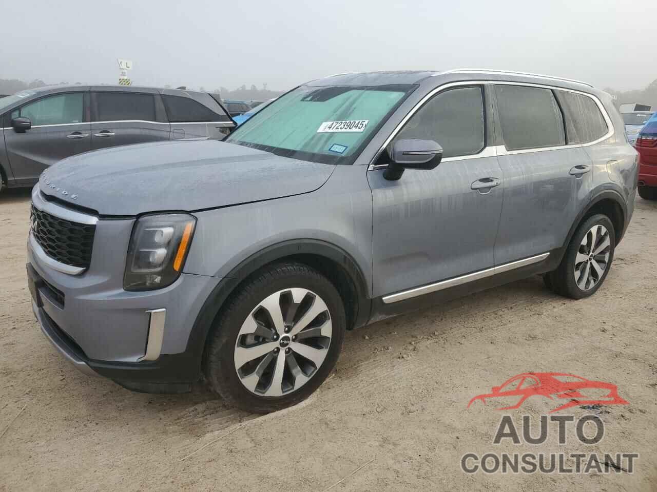 KIA TELLURIDE 2022 - 5XYP34HCXNG288266