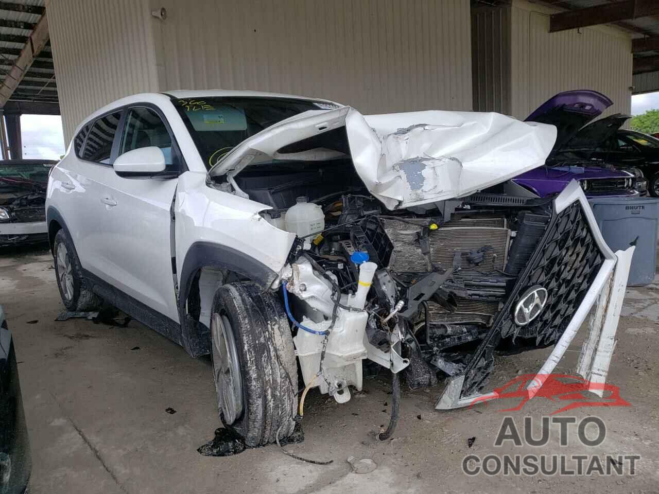 HYUNDAI TUCSON 2019 - KM8J23A40KU886670