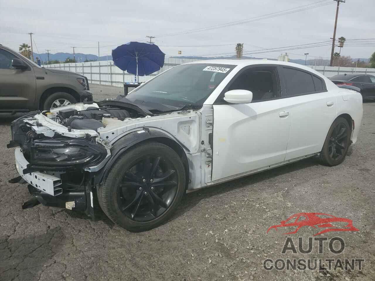 DODGE CHARGER 2019 - 2C3CDXGJ5KH647005
