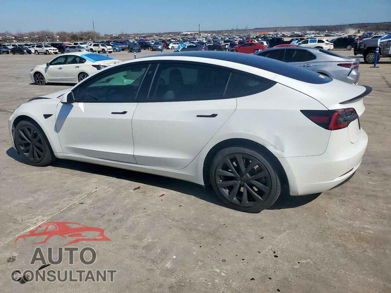 TESLA MODEL 3 2021 - 5YJ3E1EB8MF852781
