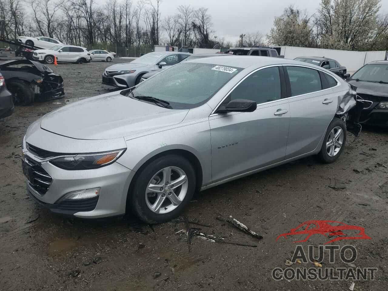CHEVROLET MALIBU 2019 - 1G1ZB5ST6KF223903