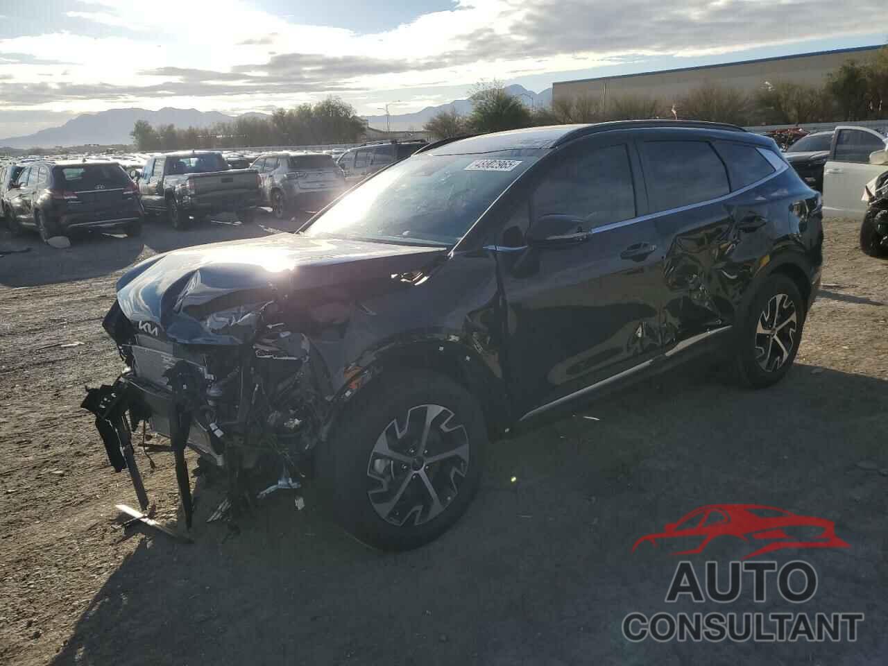 KIA SPORTAGE 2025 - 5XYK33DF8SG284152