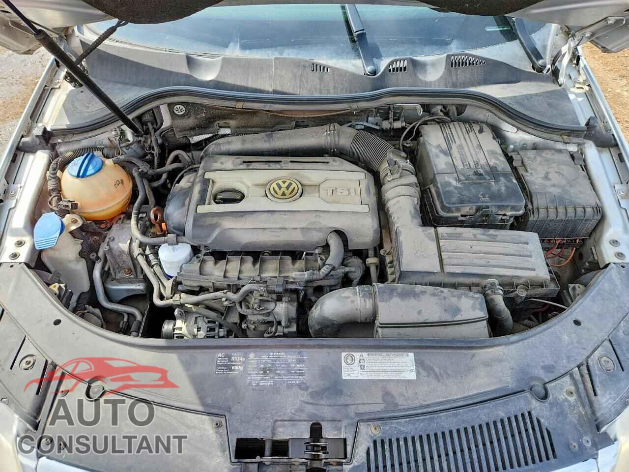 VOLKSWAGEN PASSAT 2010 - WVWJM7ANXAE154392