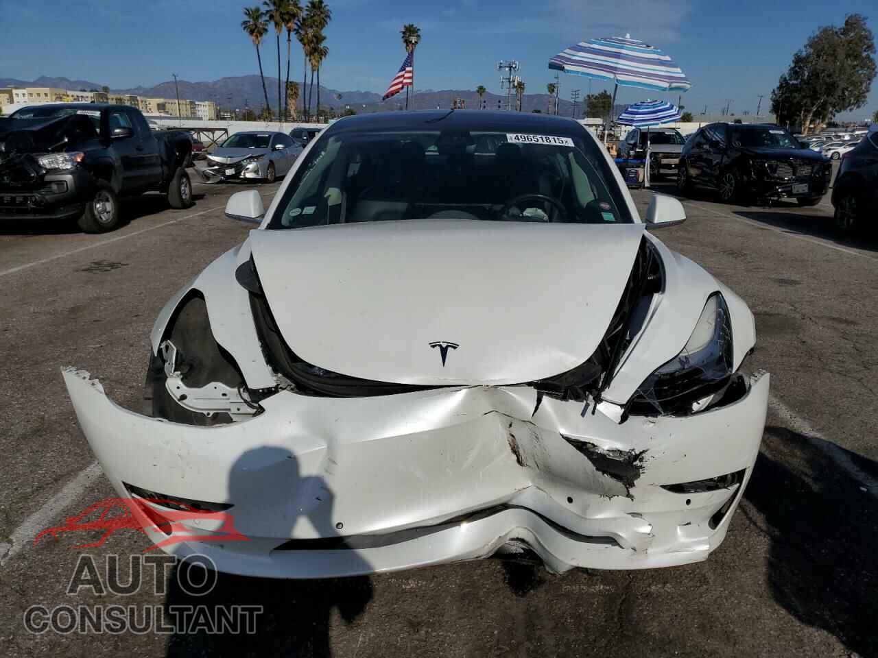 TESLA MODEL 3 2019 - 5YJ3E1EA7KF300175