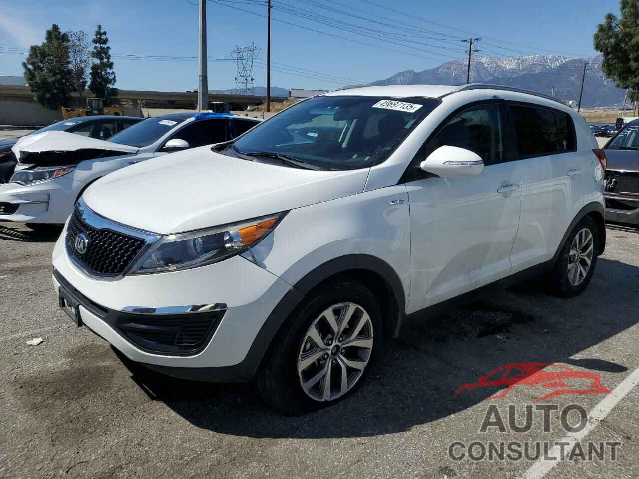 KIA SPORTAGE 2014 - KNDPBCAC7E7579361