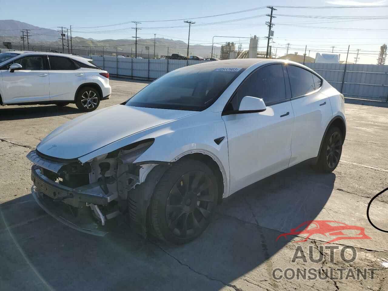 TESLA MODEL Y 2021 - 5YJYGDEE6MF066084