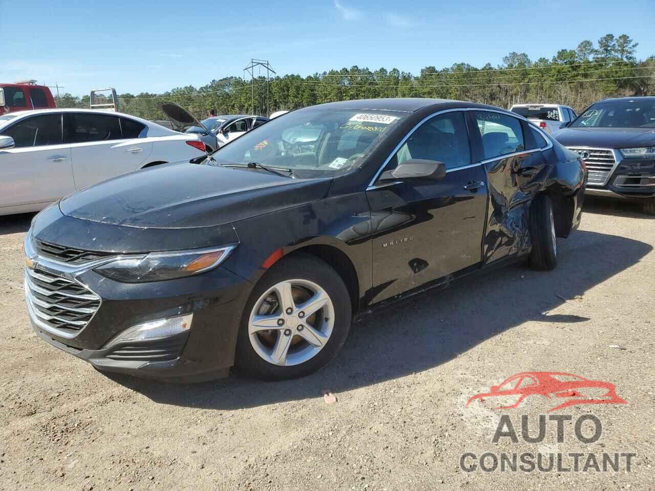 CHEVROLET MALIBU 2019 - 1G1ZB5ST9KF227508
