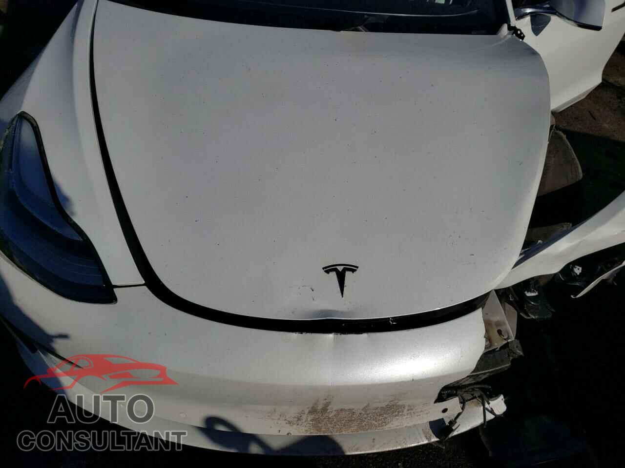 TESLA MODEL 3 2019 - 5YJ3E1EA6KF509505