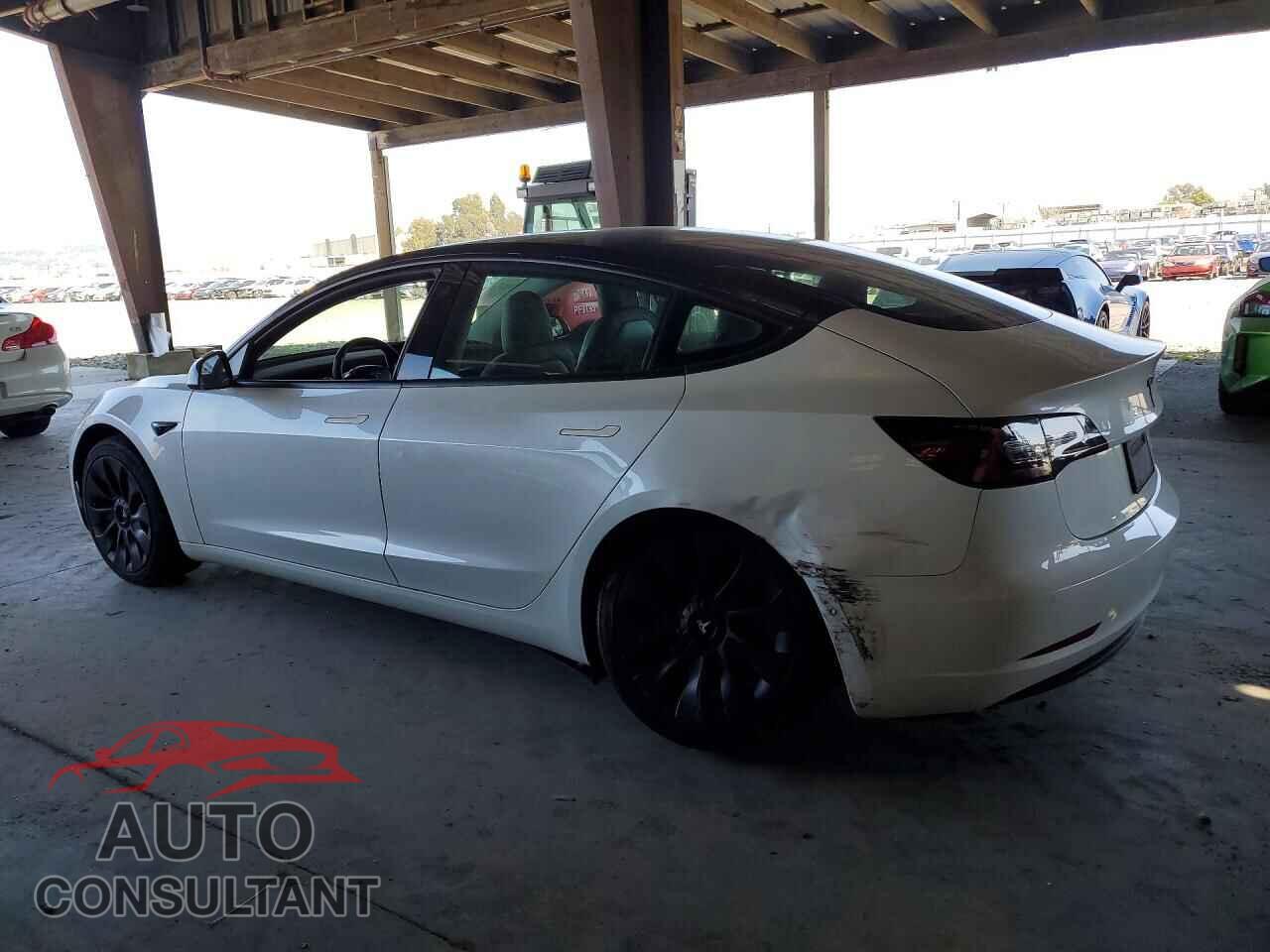 TESLA MODEL 3 2019 - 5YJ3E1EB6KF408330