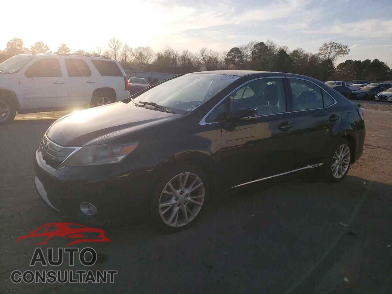 LEXUS HS 2010 - JTHBB1BA8A2001206