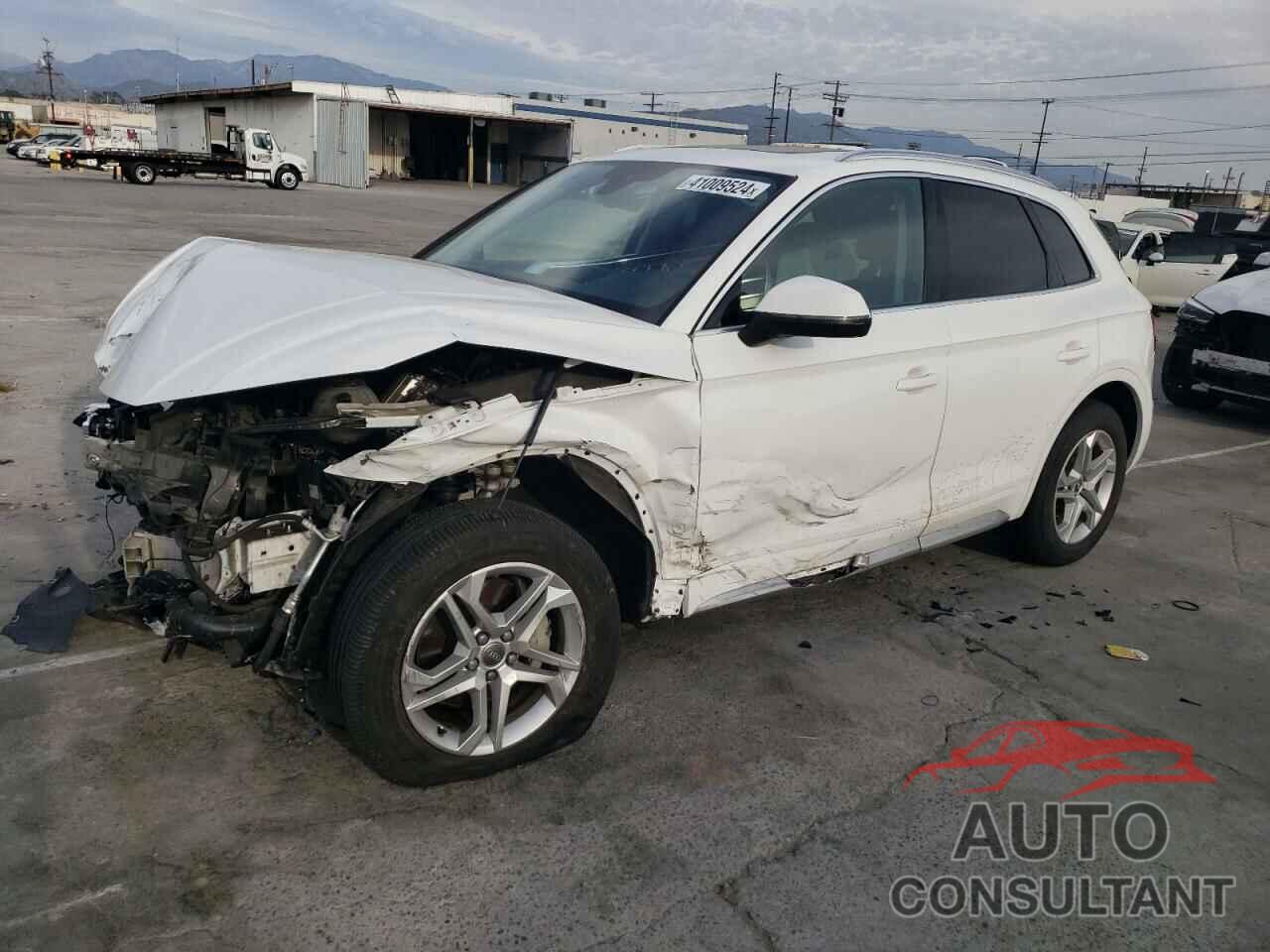 AUDI Q5 2019 - WA1ANAFY9K2095507