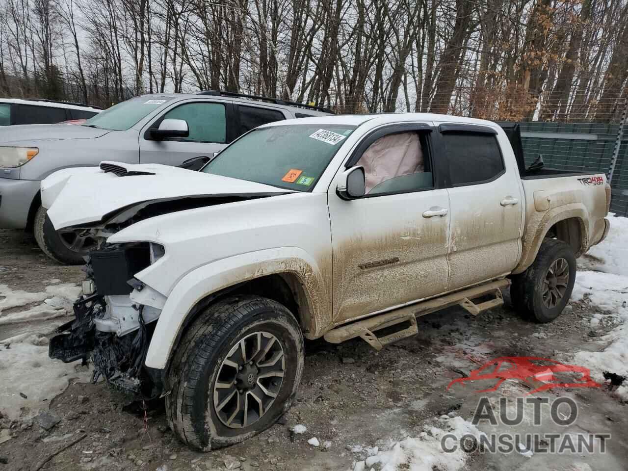 TOYOTA TACOMA 2023 - 3TMCZ5AN9PM564506