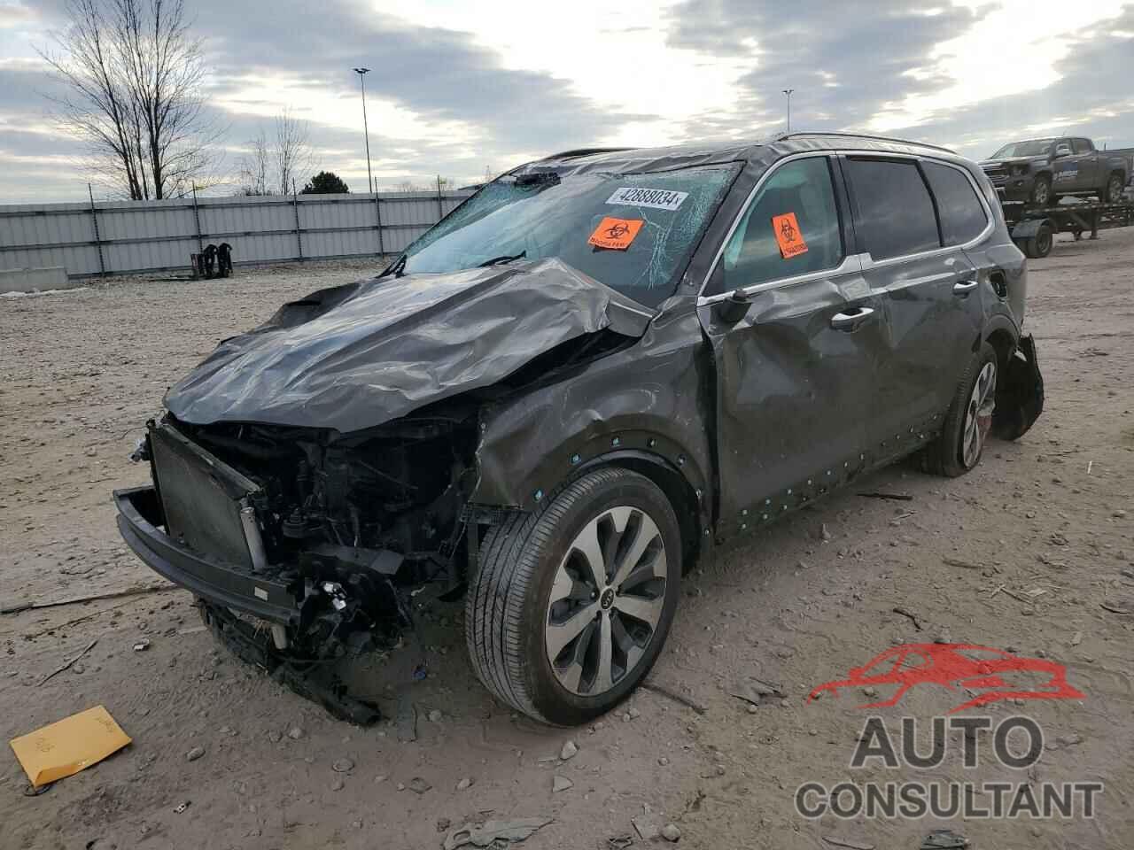 KIA TELLURIDE 2021 - 5XYP6DHC3MG150591