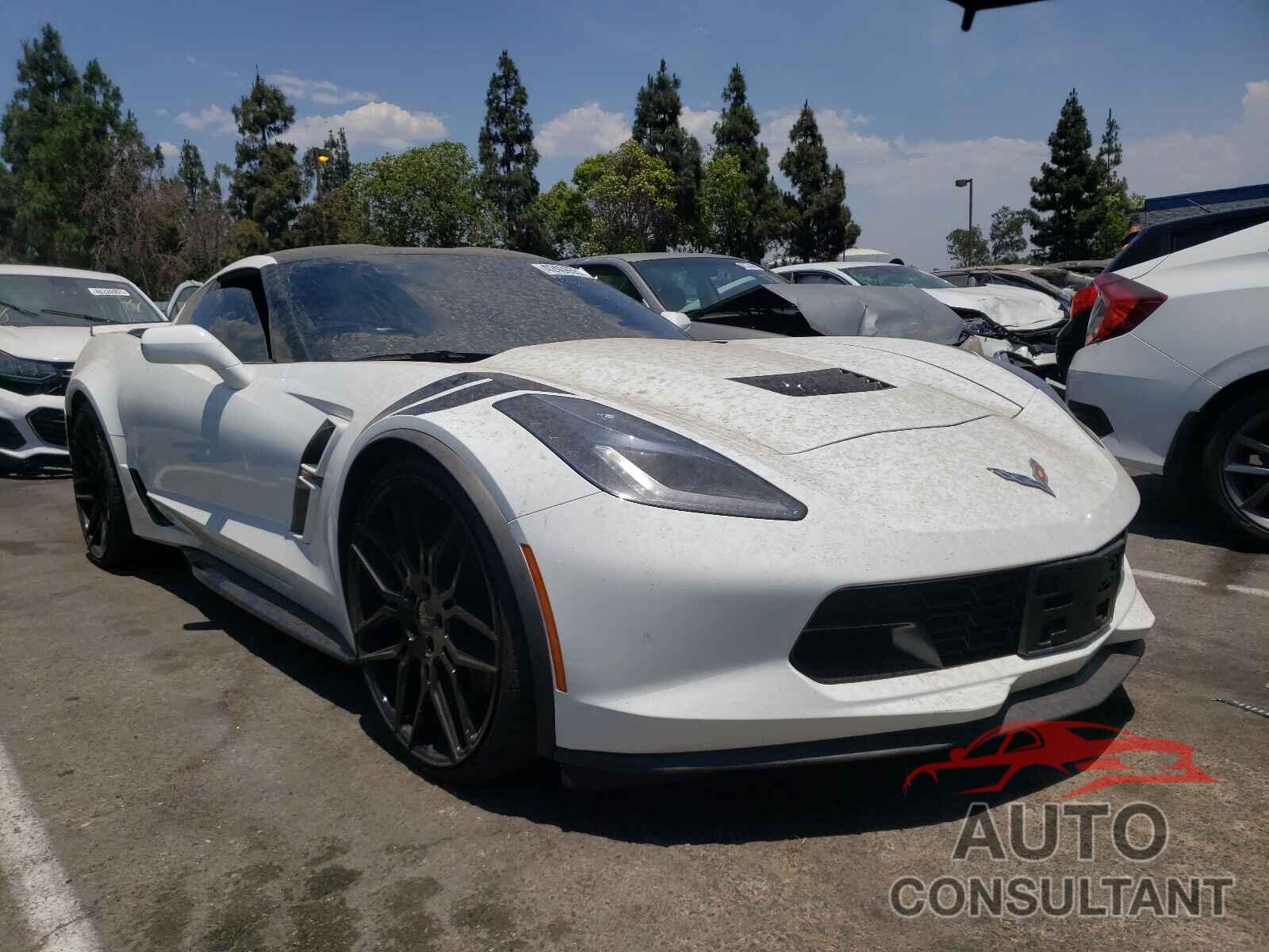 CHEVROLET CORVETTE 2019 - 1G1YW2D73K5123939