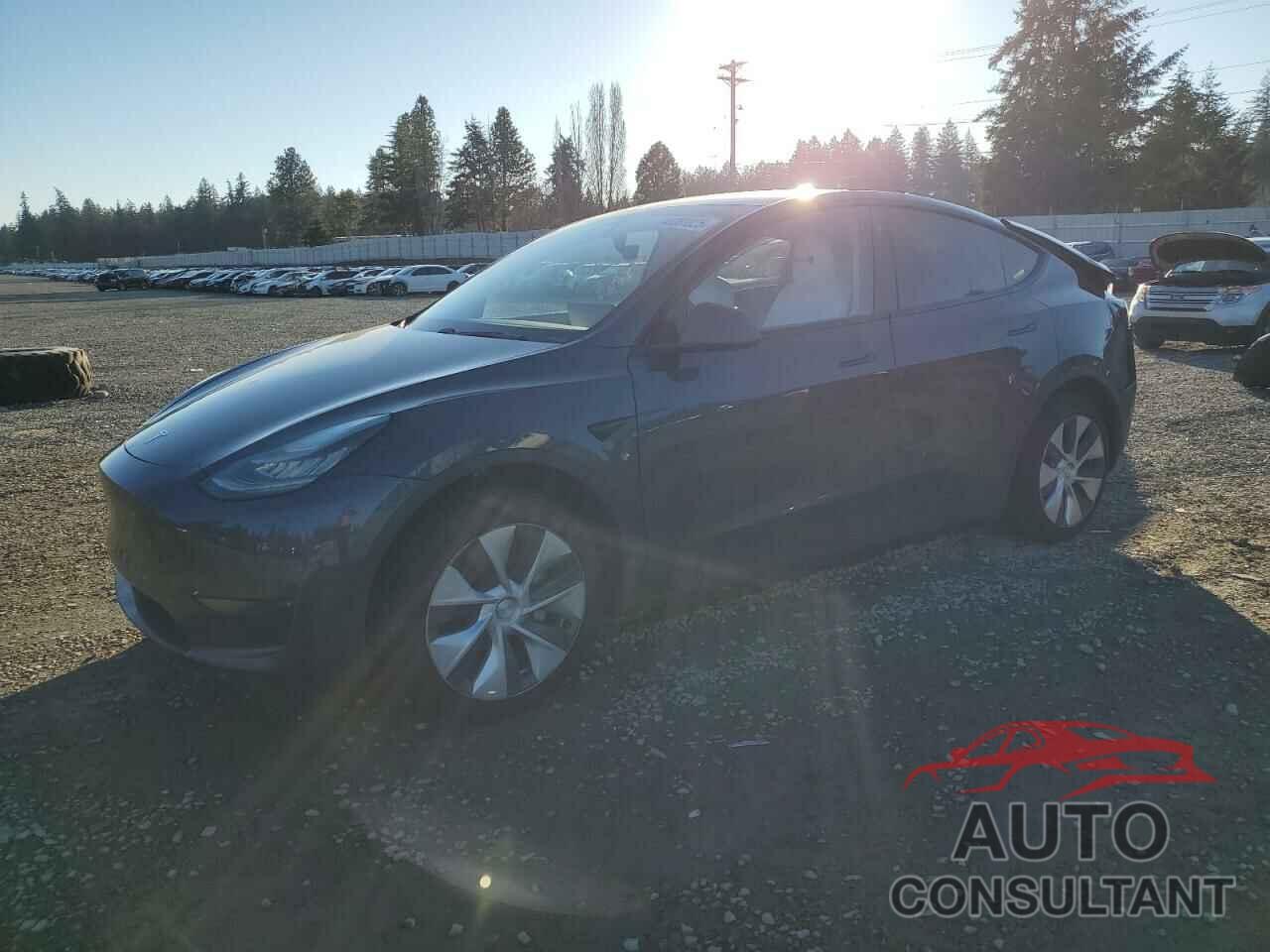 TESLA MODEL Y 2020 - 5YJYGDEE5LF023192