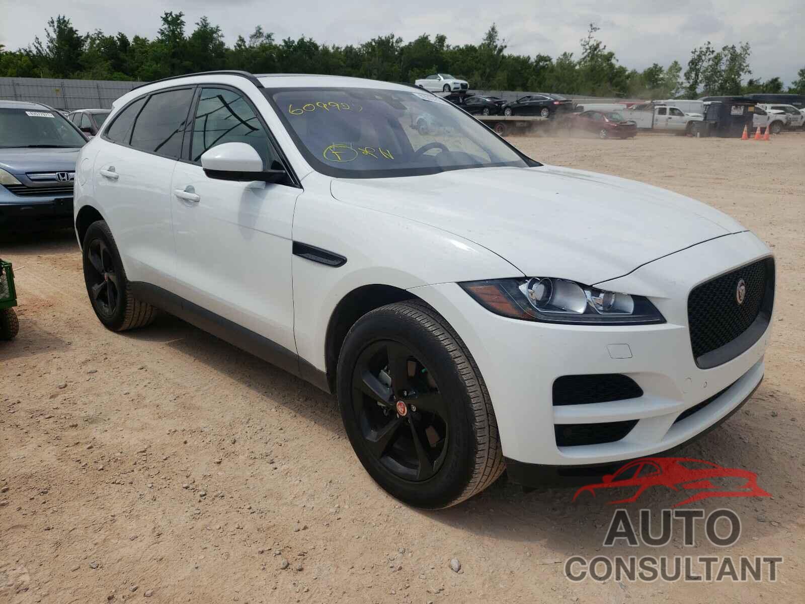 JAGUAR F-PACE 2019 - SADCK2FX8KA609927