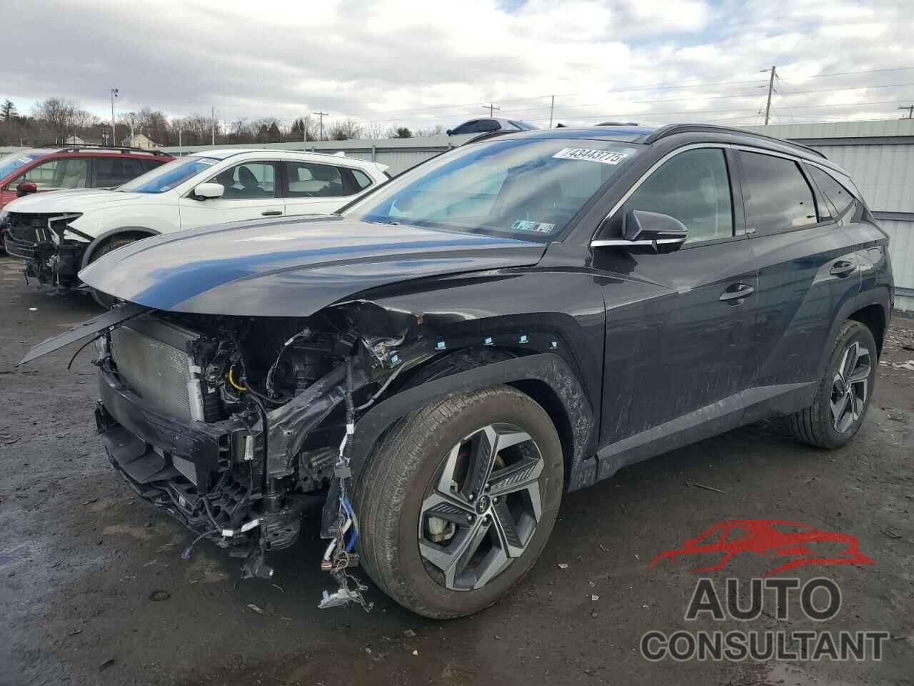 HYUNDAI TUCSON 2024 - 5NMJECDE4RH316916