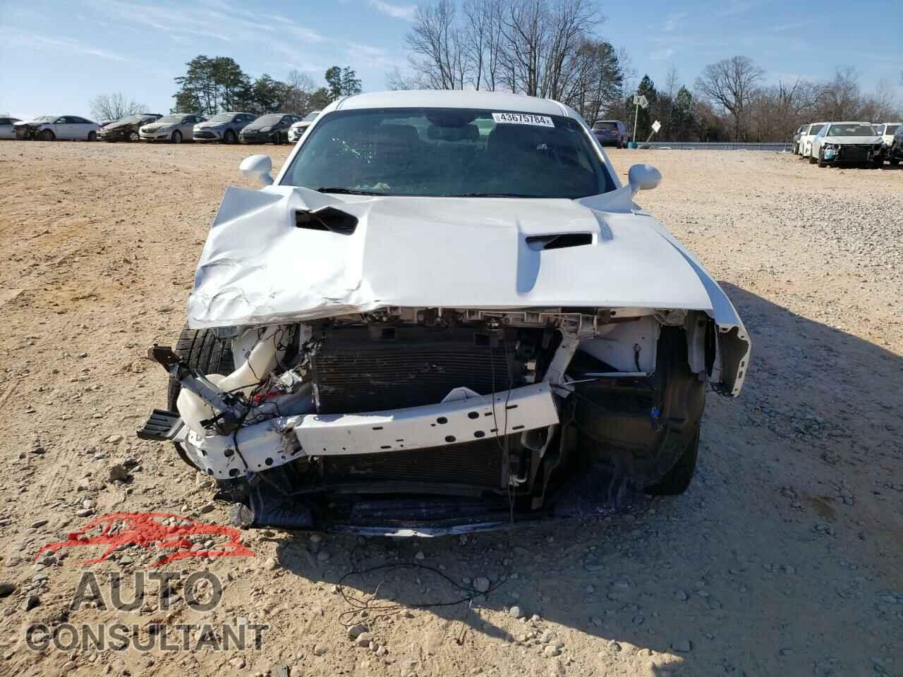 DODGE CHALLENGER 2019 - 2C3CDZAGXKH551282