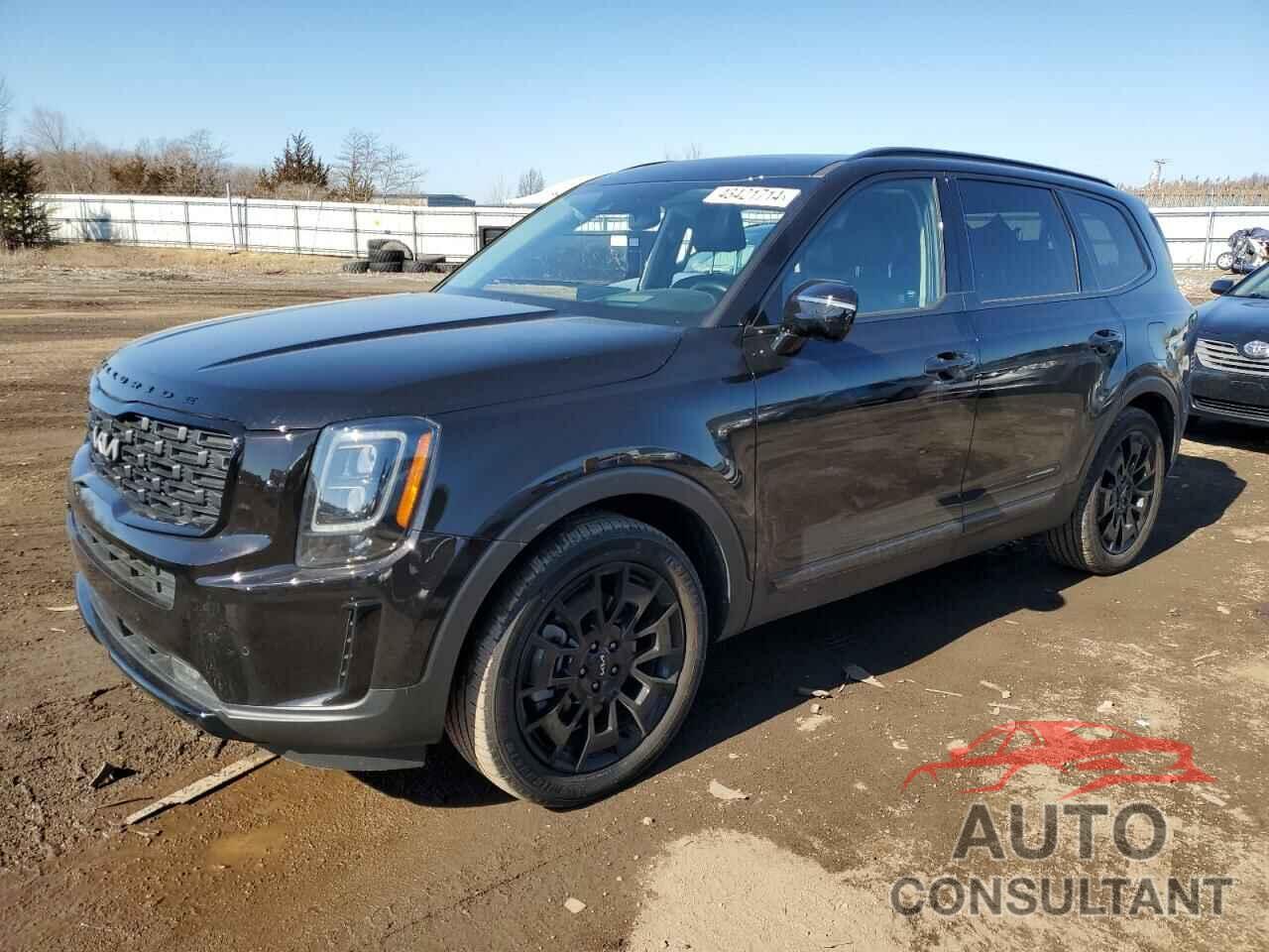 KIA TELLURIDE 2022 - 5XYP5DHC7NG277350