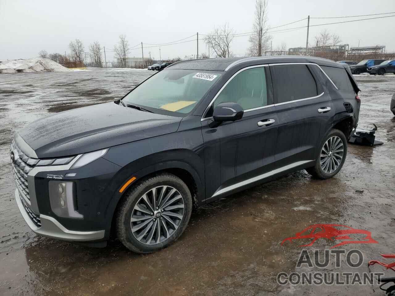 HYUNDAI PALISADE 2024 - KM8R5DGE3RU660018