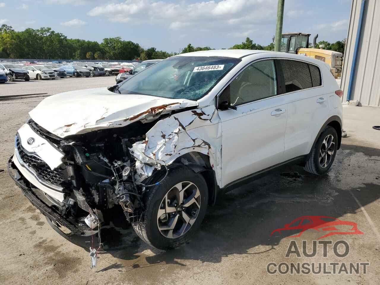 KIA SPORTAGE 2022 - KNDPM3AC4N7027942