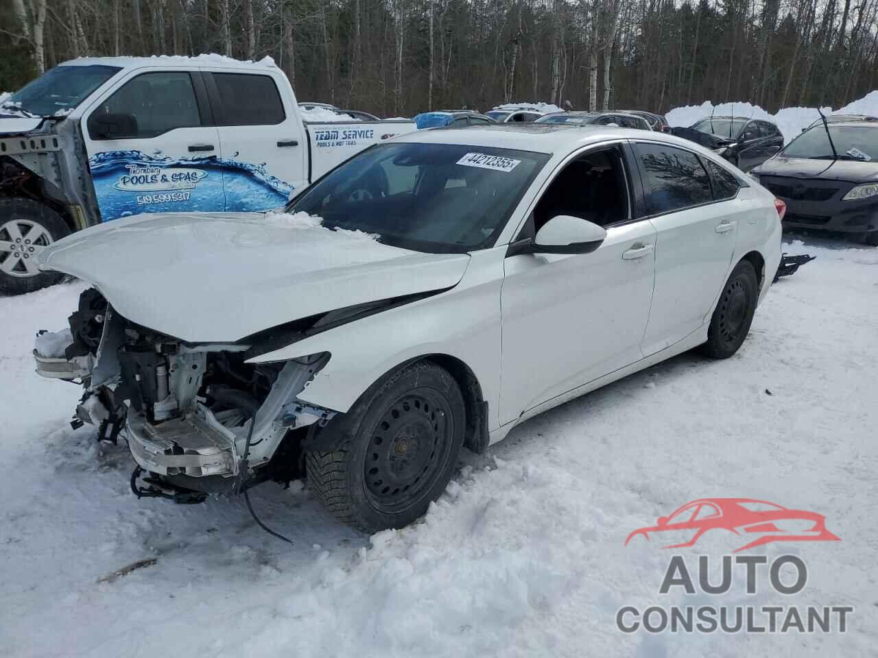 HONDA ACCORD 2019 - 1HGCV1F30KA800107