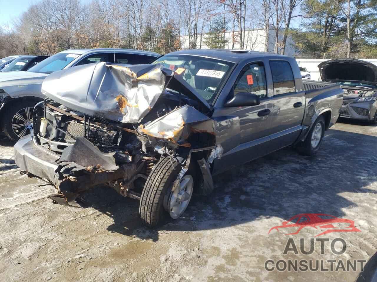 DODGE DAKOTA 2009 - 1D7HW38KX9S730031