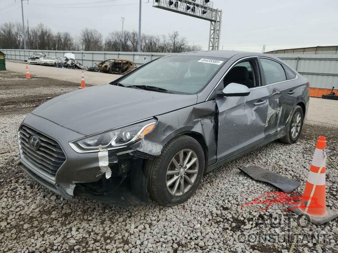 HYUNDAI SONATA 2019 - 5NPE24AF5KH746475