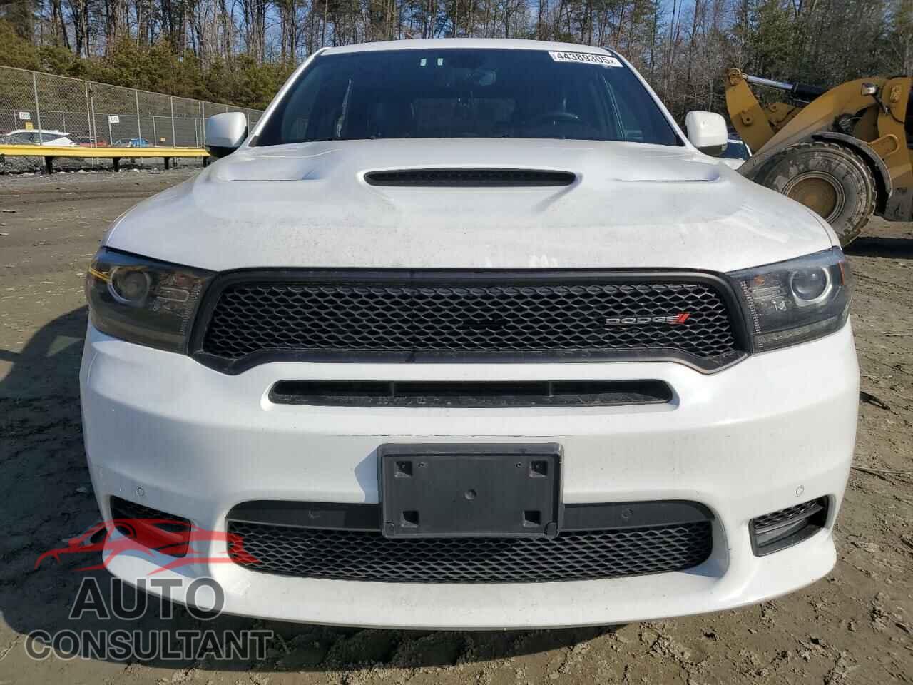 DODGE DURANGO 2019 - 1C4SDJCT1KC744877