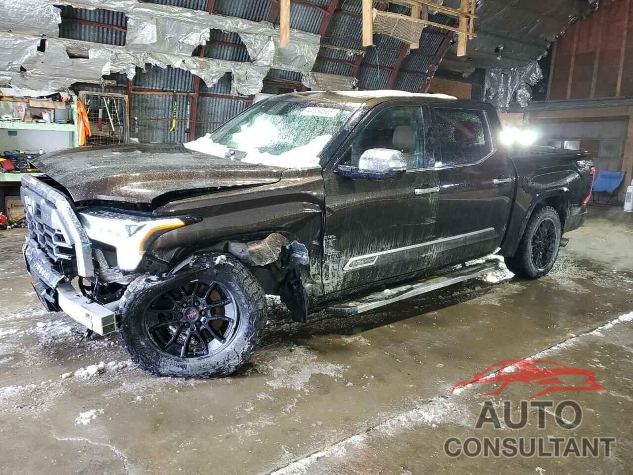 TOYOTA TUNDRA 2023 - 5TFMA5DB4PX111756