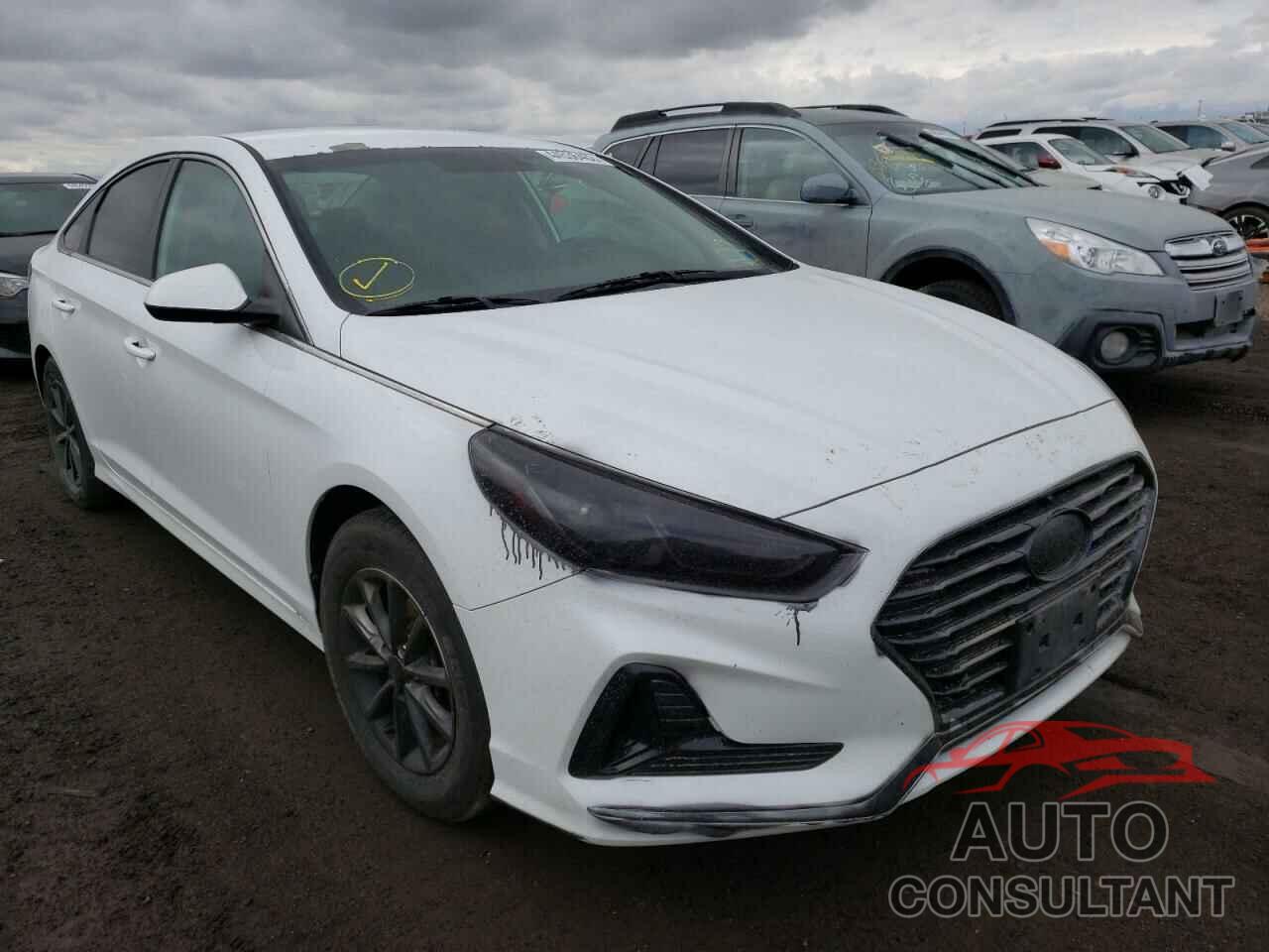 HYUNDAI SONATA 2018 - 5NPE24AF9JH645406