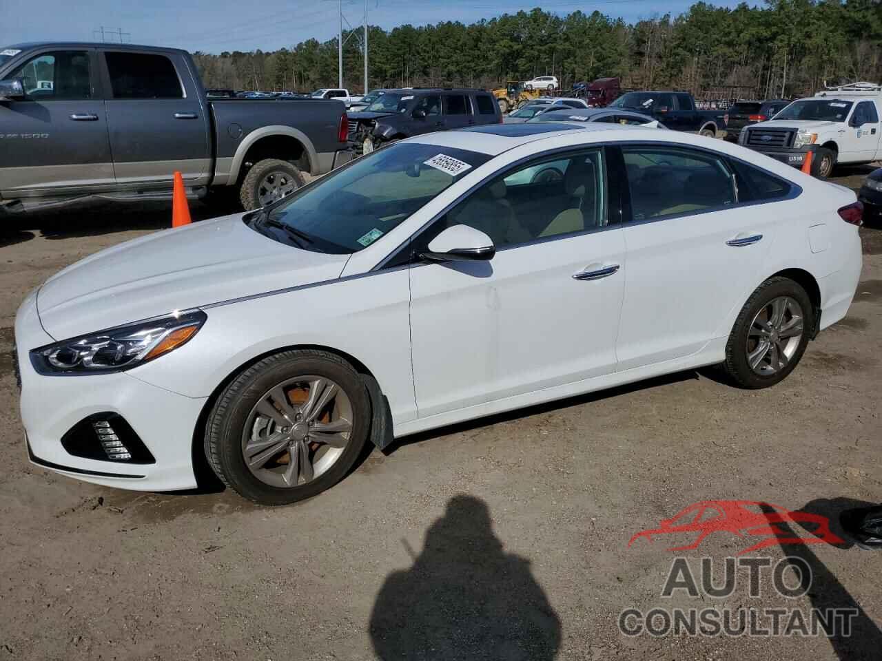 HYUNDAI SONATA 2019 - 5NPE34AFXKH797595