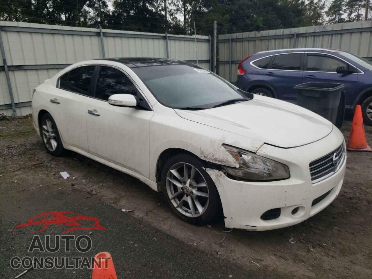 NISSAN MAXIMA 2009 - 1N4AA51E09C851483