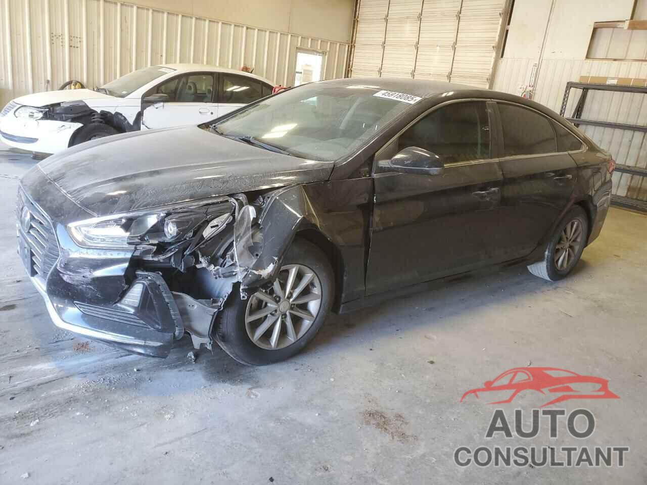 HYUNDAI SONATA 2019 - 5NPE24AF4KH736388