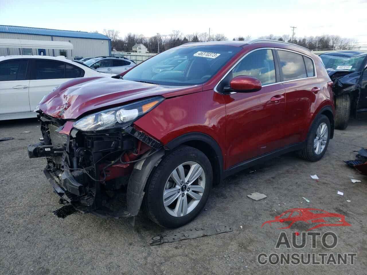 KIA SPORTAGE 2019 - KNDPM3AC1K7616412