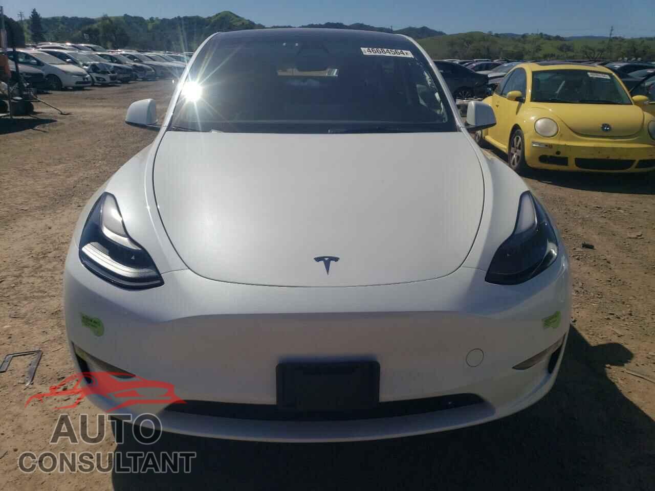 TESLA MODEL Y 2023 - 7SAYGDEE3PF748735