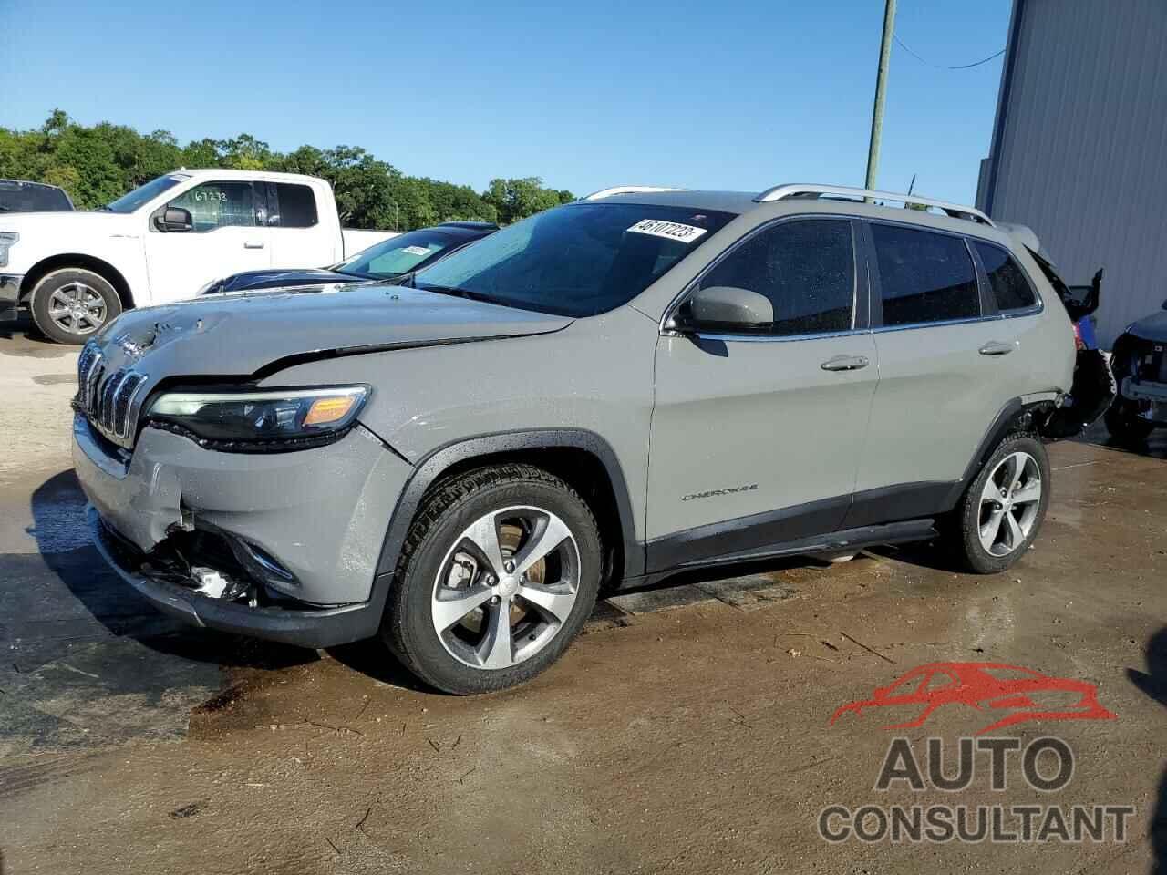 JEEP GRAND CHER 2019 - 1C4PJLDBXKD428209