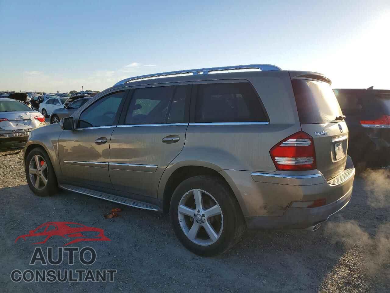 MERCEDES-BENZ GL-CLASS 2009 - 4JGBF71E29A463545