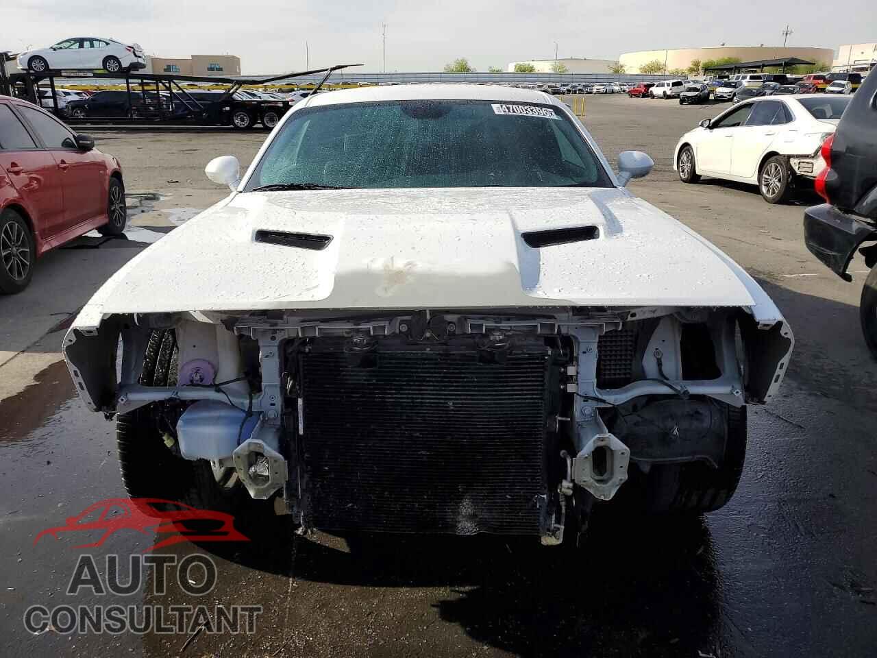 DODGE CHALLENGER 2019 - 2C3CDZAG5KH583752