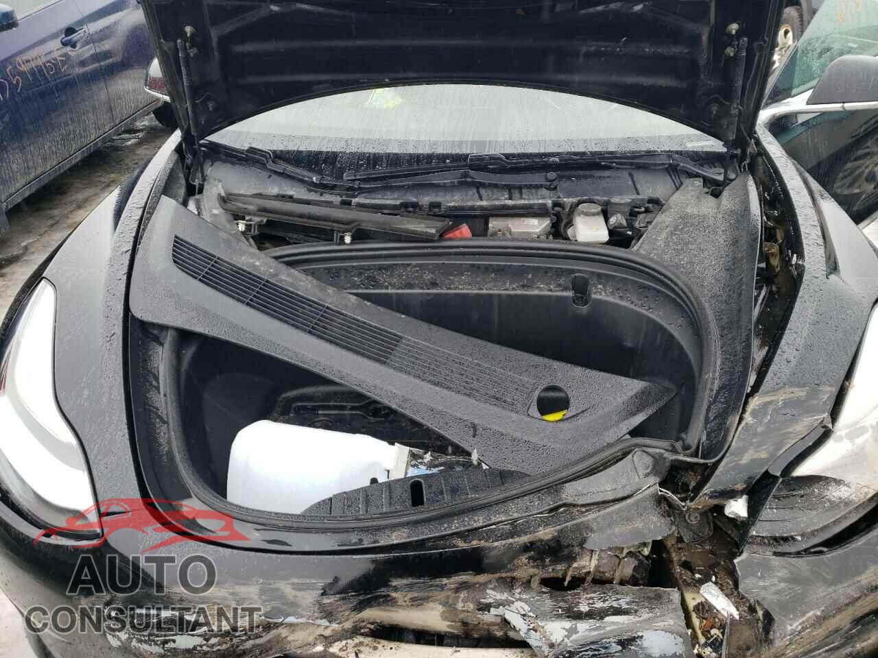 TESLA MODEL 3 2019 - 5YJ3E1EA3KF265389