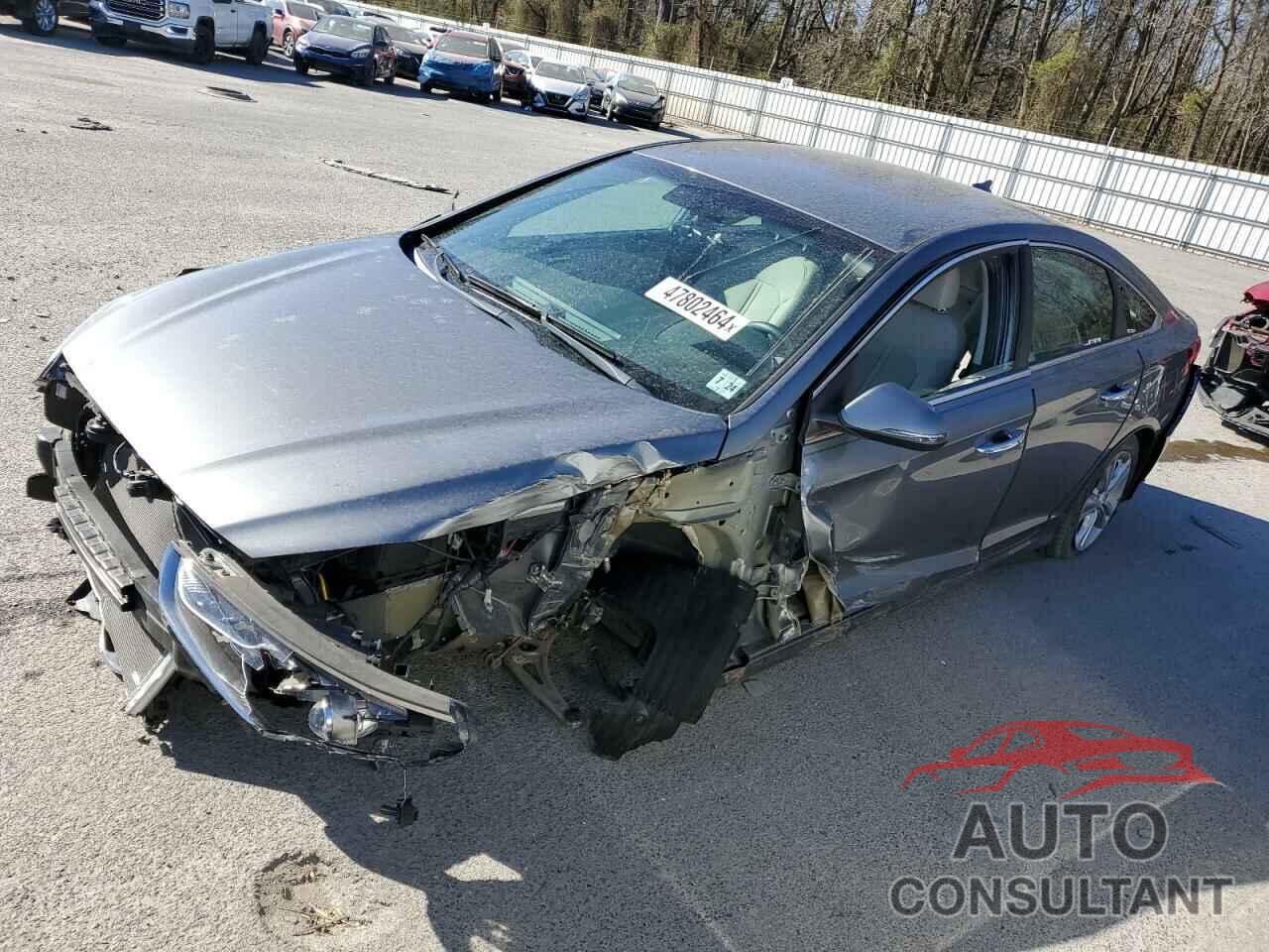 HYUNDAI SONATA 2019 - 5NPE34AF6KH789302