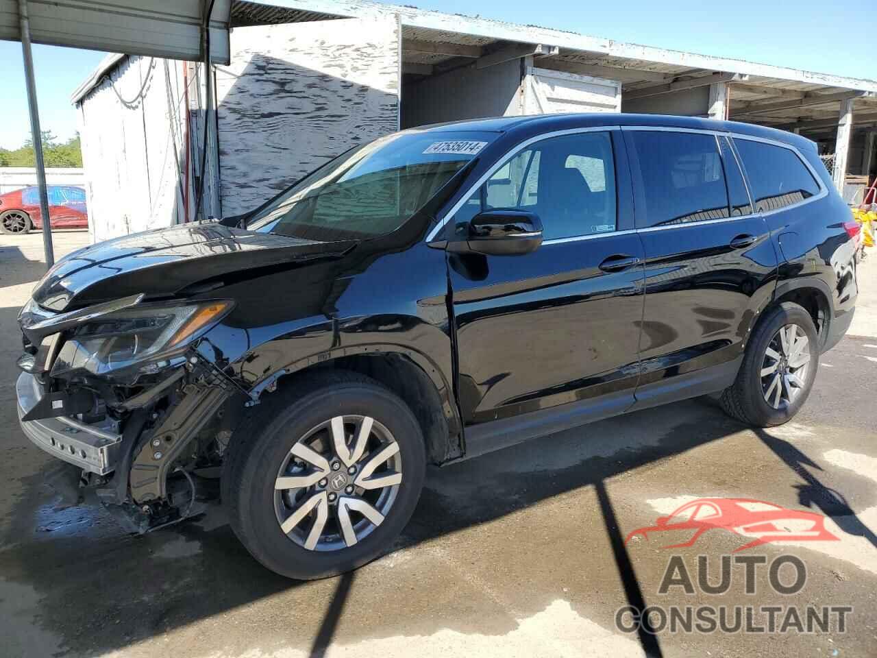 HONDA PILOT 2019 - 5FNYF6H56KB086388