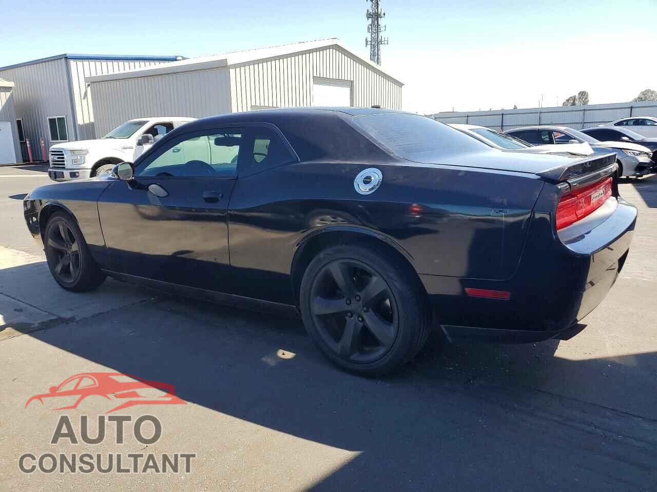 DODGE CHALLENGER 2013 - 2C3CDYAGXDH676540