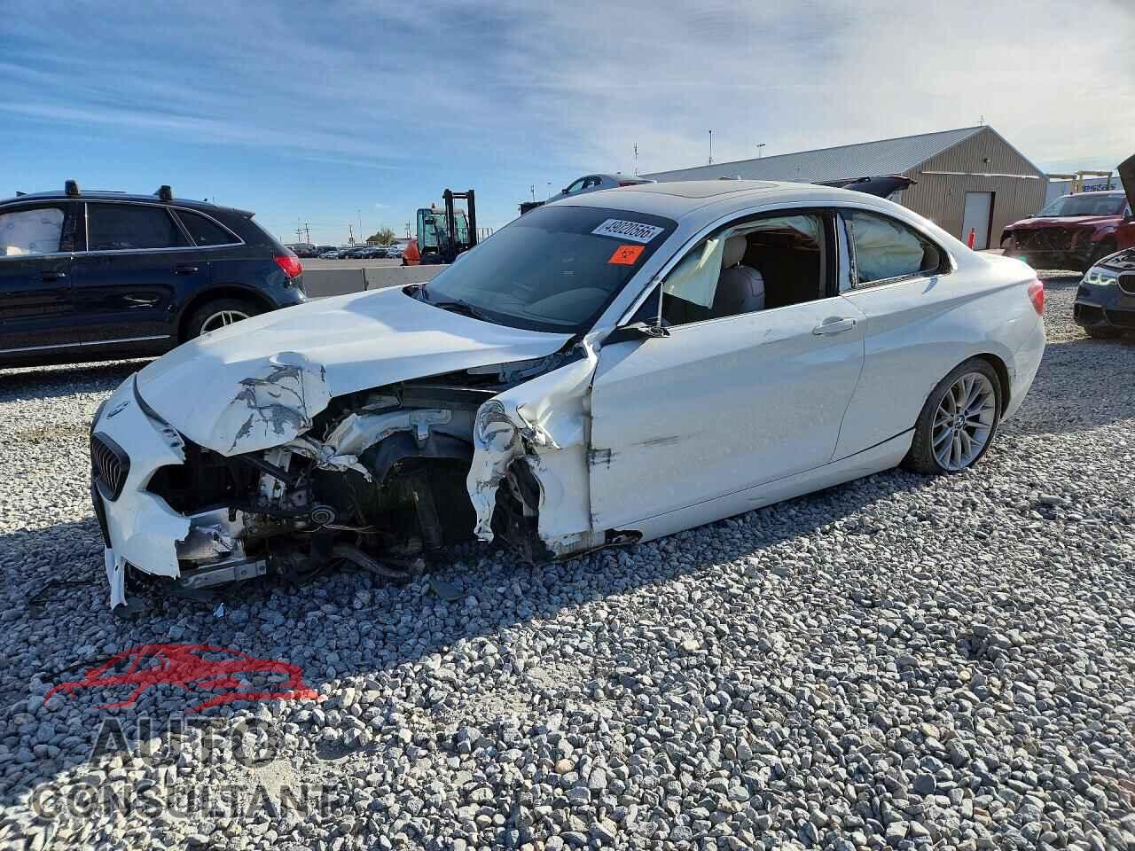 BMW 2 SERIES 2015 - WBA1G9C53FVX96795