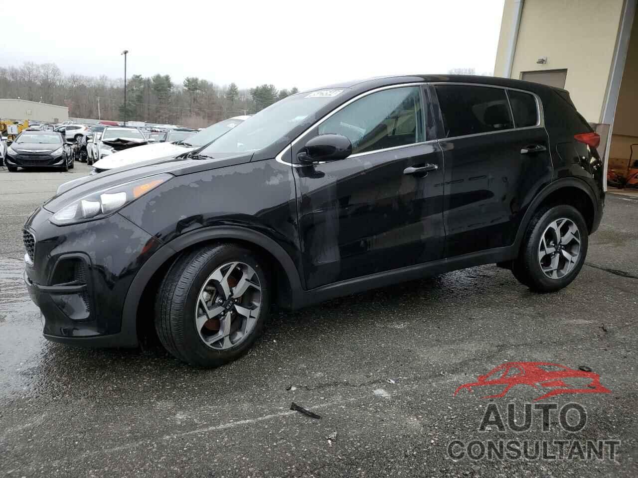 KIA SPORTAGE 2022 - KNDPM3AC2N7983226