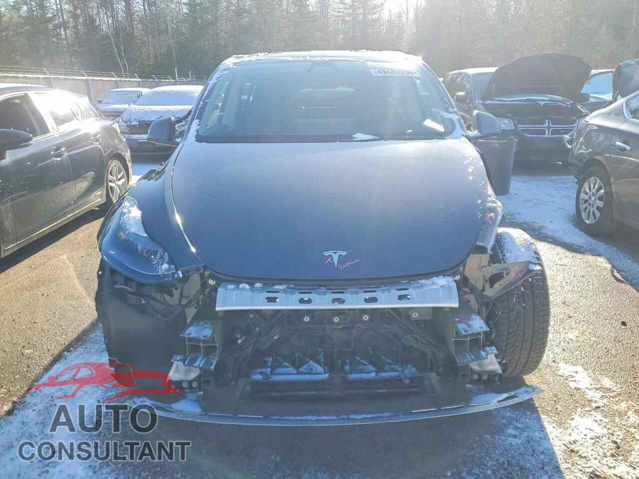 TESLA MODEL Y 2023 - LRWYGDFD5PC071930