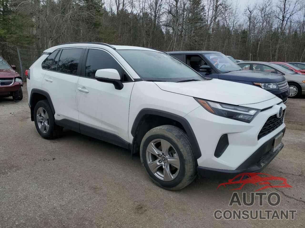 TOYOTA RAV4 2022 - 2T3RWRFV3NW140608